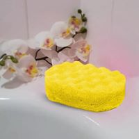 Rhubarb and Custard Exfoliating Soap Filled Sponge