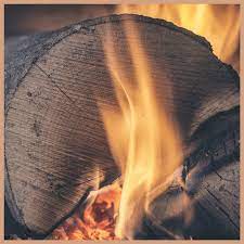 Woodsmoke & Leather Melts