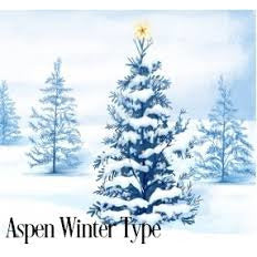 Aspen Winter YC
