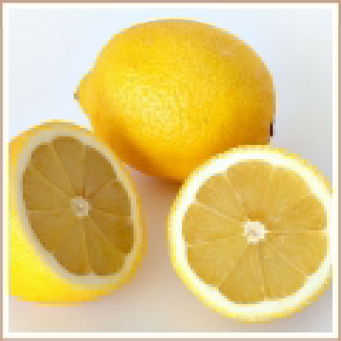 FloZora Lemon Zing Melts