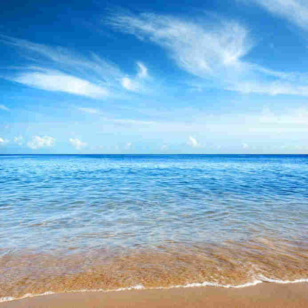 FloZora Summer Breeze Melts