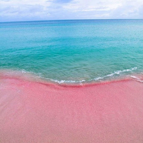 YC Pink Sandy Beach Wax Melts